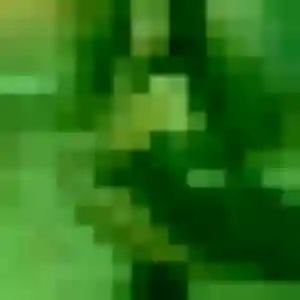 Photo perso de Alice, 33 ans à Tergnier - plan discret