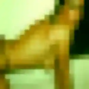 Melodie, femme de 24 ans veut rencontre sexe à Terrasson-Lavilledieu