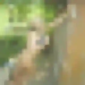 Noemie, 43 ans, dispo pour rencontre sexe à Terrasson-Lavilledieu