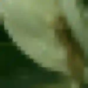Profil de Touria à Thorigné-Fouillard (19 ans) - rencontre sexe discret