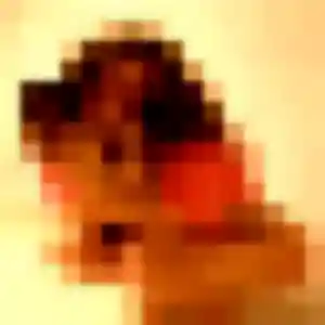 Photo perso de Magalie, 32 ans à Tresses - rencontre coquine