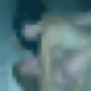 Hajar, 38 ans, dispo pour rencontre sexe à Trith-Saint-Léger