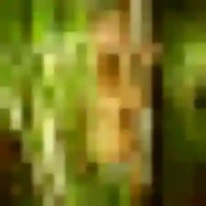 Photo de Albane à Tsingoni (42 ans) - rencontre sexe sans inscription