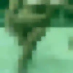Joana, 34 ans, connectée à Ventabren pour un rencontre sexe