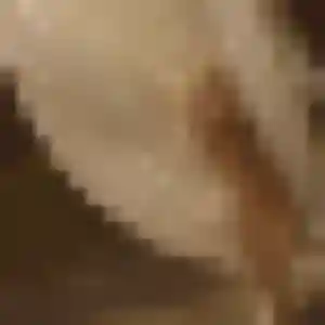 Photo de Prisca à Verdun (19 ans) - rencontre sexe discret