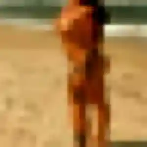 Photo perso de Augustine, 19 ans à Vertou - rencontre coquine