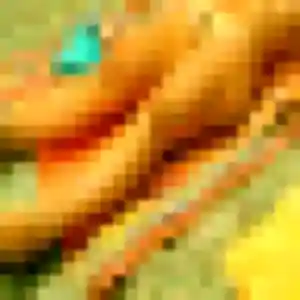 Anne-Laure (35 ans) à Villeneuve-sur-Lot cherche un rencontre sexe ce soir