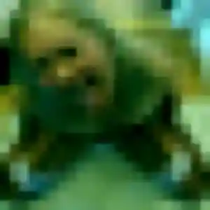 Photo sexy de Therese, 28 ans à Vouneuil-sous-Biard - rencontre sans lendemain